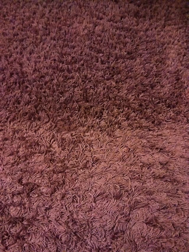 czyszczenie dywanów łódź