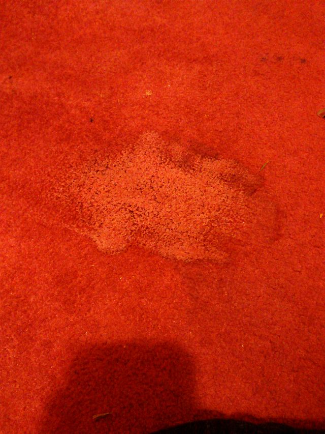 pranie dywanow lodz pranie dywanow lodz