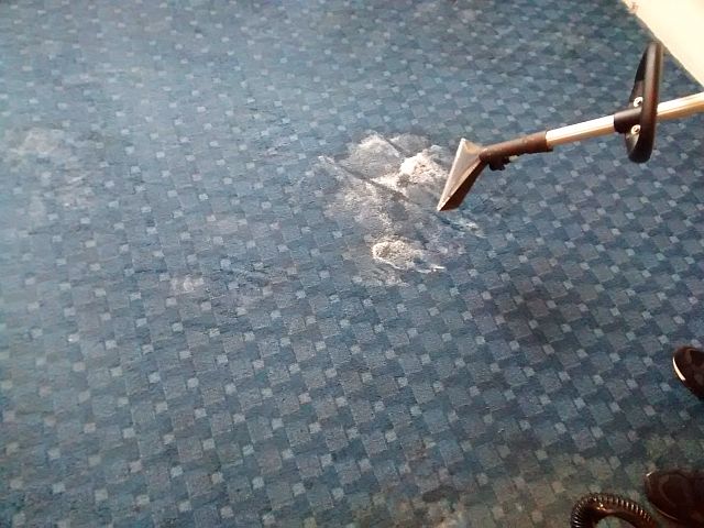 czyszczenie wykładziny Łódź czyszczenie wykładziny Łódź