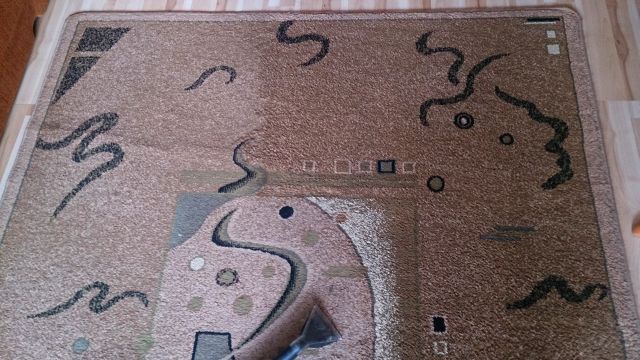 czyszczenie dywanów łódź