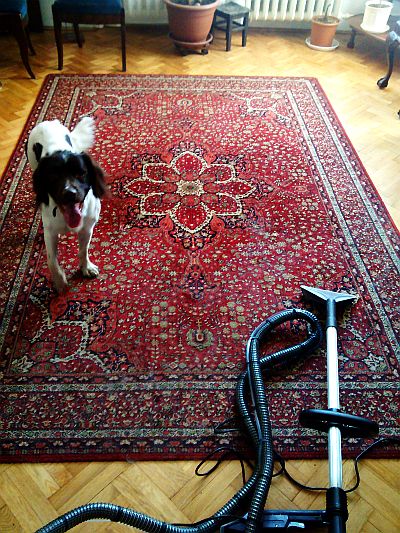 pranie dywanu łódź