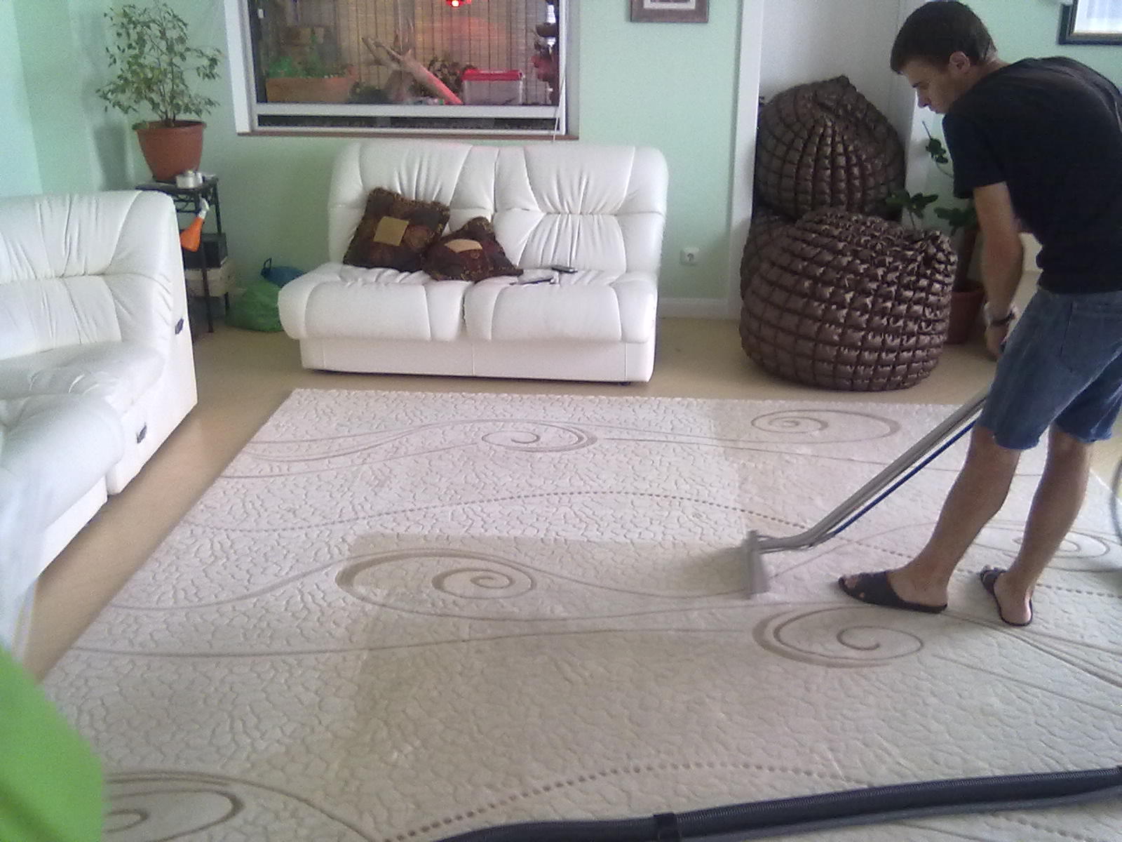 pranie wykładzin Łódź