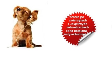 pranie po zwierzętach łódż pranie po zwierzętach łódź